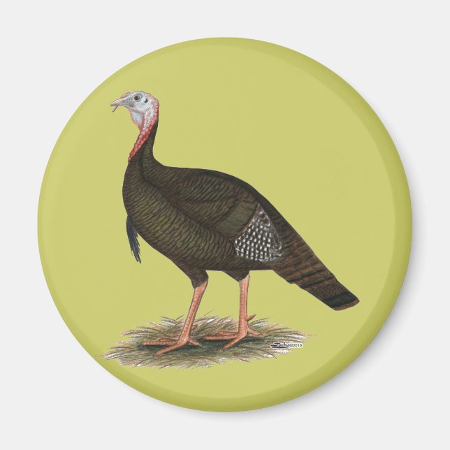 Turkey:  Eastern Wild Tom Magnet (Front)
