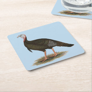 Turkey: Eastern Wild Tom Square Paper Coaster