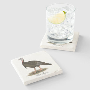 Turkey:  Eastern Wild Tom Stone Coaster