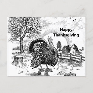 Turkey Farm Drawing Thanksgiving Postcard