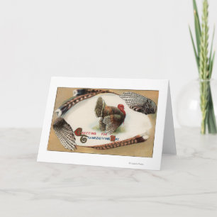 Turkey Feathers Holiday Card