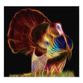 Turkey Fractal Photo Print