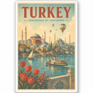 Turkey Hagia Sophia Blue Mosque Illustration Retro