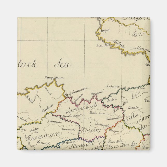 Turkey in Asia 3 Magnet (Front)