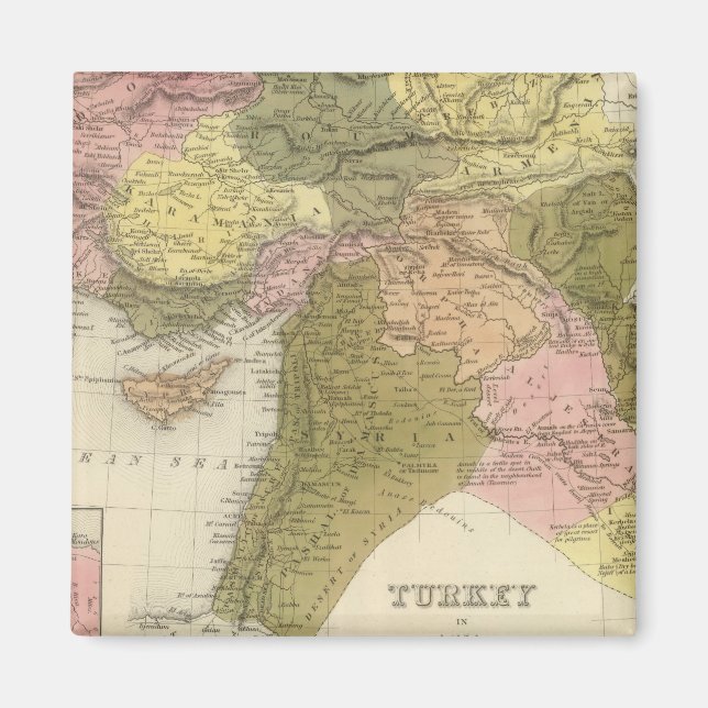 Turkey In Asia Magnet (Front)