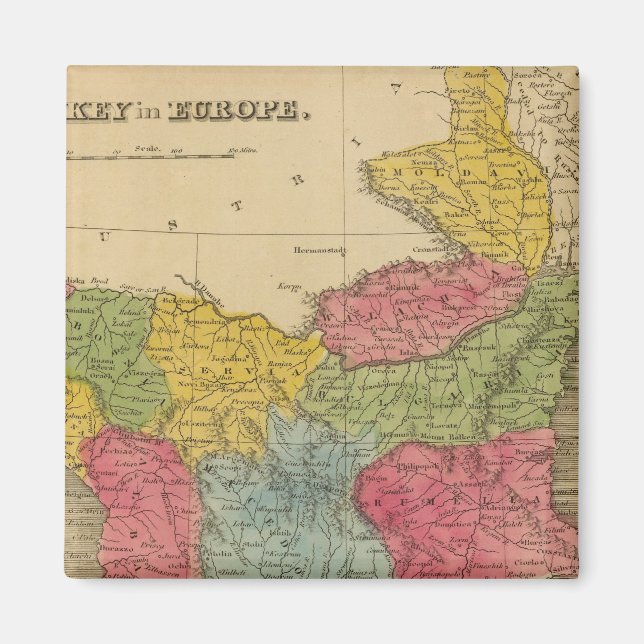 Turkey in Europe 8 Magnet (Front)