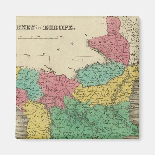 Turkey in Europe Magnet (Front)
