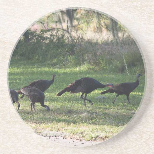 Turkey in the Grass Photo Coaster (Front)