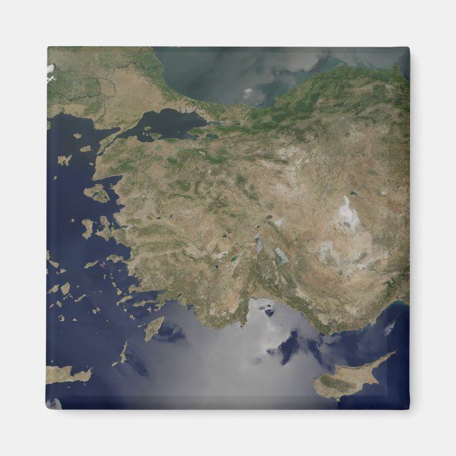 Turkey Magnet (Front)