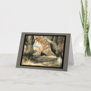 Turkey Paradise Blank Greeting Card