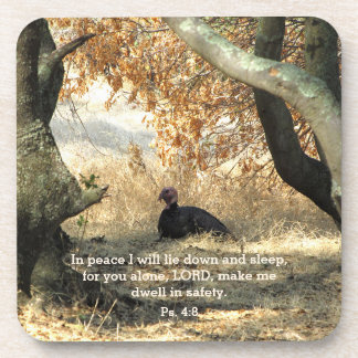 Turkey Paraside Psalm Coasters