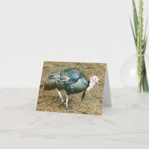 Turkey Photo Folded Note Card