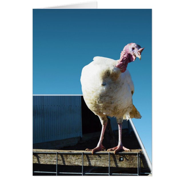 Turkey Popout Art, (Front)