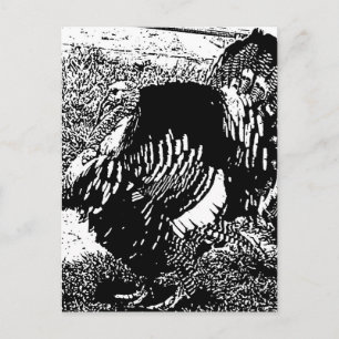 turkey postcard