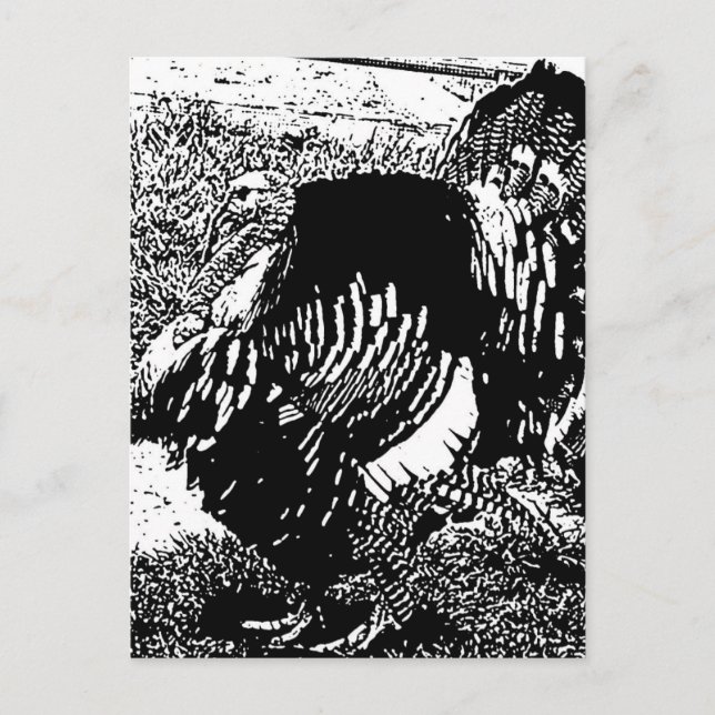 turkey postcard (Front)