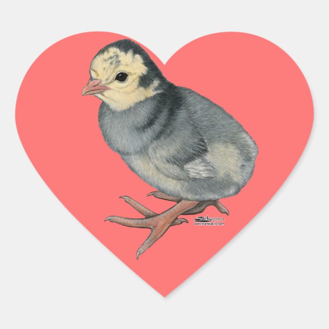 Turkey Poult Blue Slate Heart Sticker (Front)