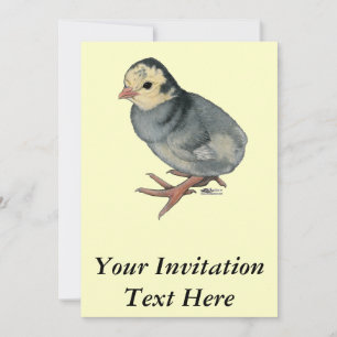 Turkey Poult Blue Slate Invitation
