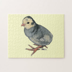 Turkey Poult Blue Slate Jigsaw Puzzle