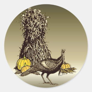 Turkey Pumpkin Classic Round Sticker