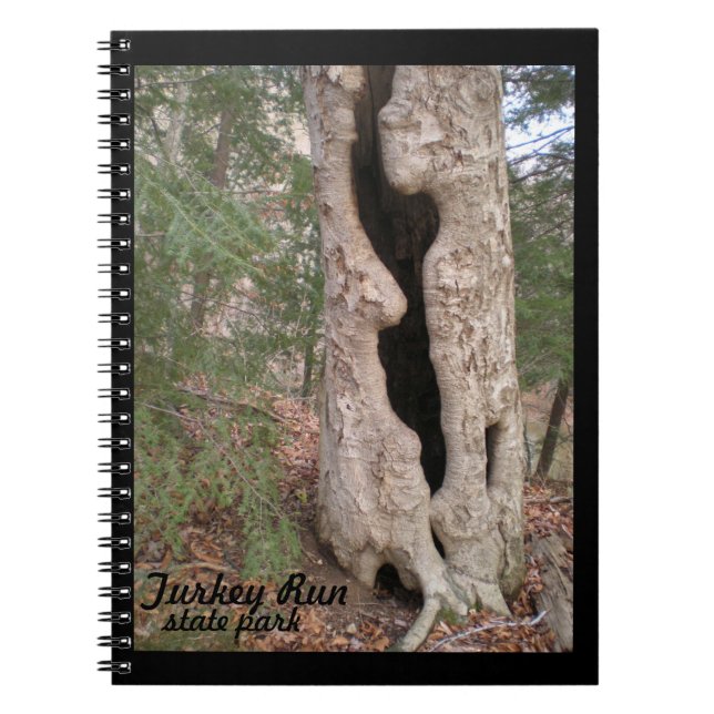 Turkey Run State Park, Hallow Tree Notebook (Front)