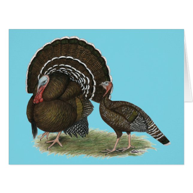 Turkey Standard Bronze (Front Horizontal)