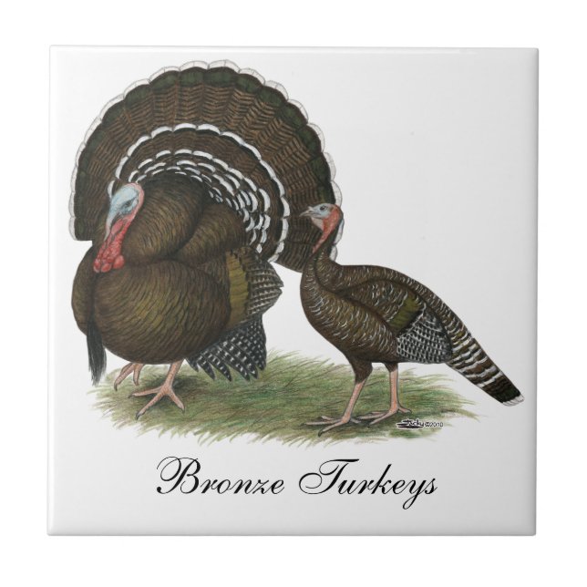 Turkey Standard Bronze Tile (Front)