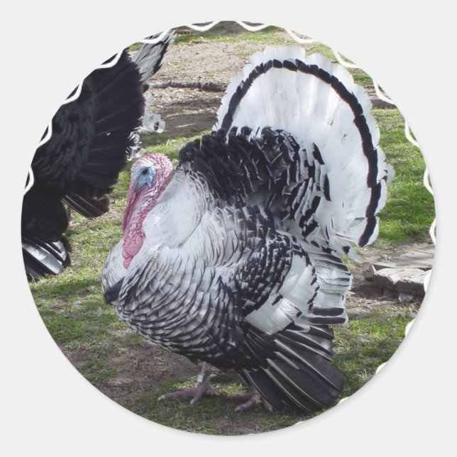 Turkey Stickers (Front)