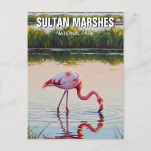 Turkey Sultan Marshes National Park Travel Postcard