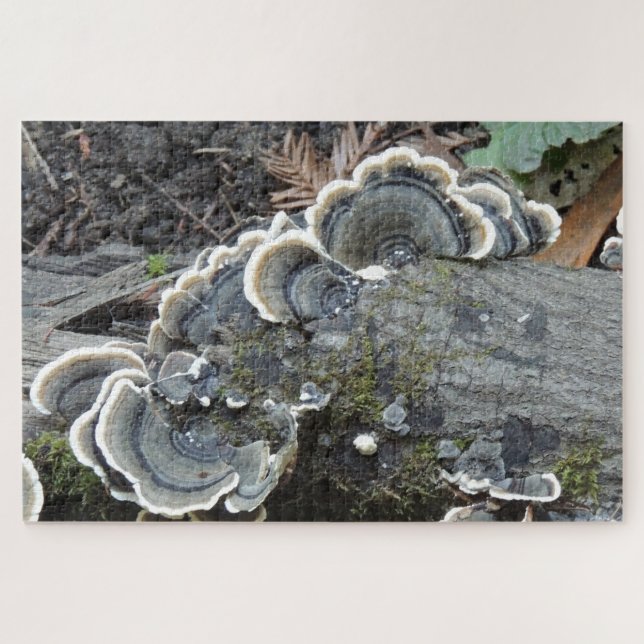 Turkey Tail Mycelium Puzzle (Horizontal)