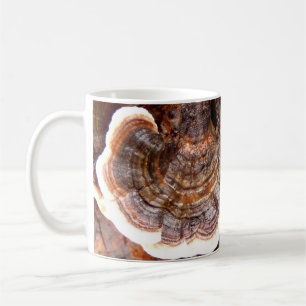 Turkey Tails Fungi Mug