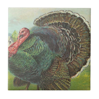 Turkey Tile