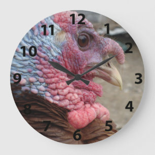 Turkey Tom Large Clock