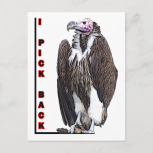 Turkey Vulture I Pick Back Posterised Photo Postcard
