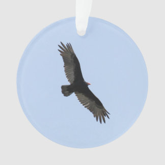 Turkey Vulture Ornament