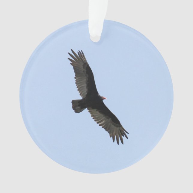 Turkey Vulture Ornament (Front)