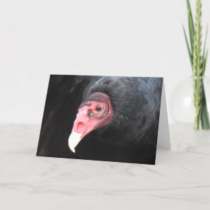 Turkey Vulture Photograph Card