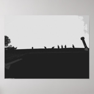 Turkey Vulture, Poster