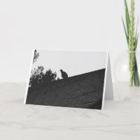 Turkey Vulture Silhouette, card