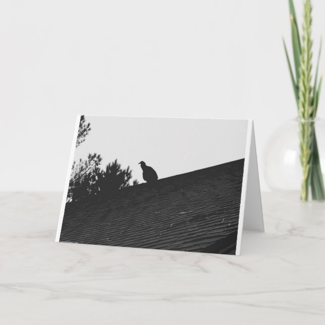 Turkey Vulture Silhouette, card (Front)