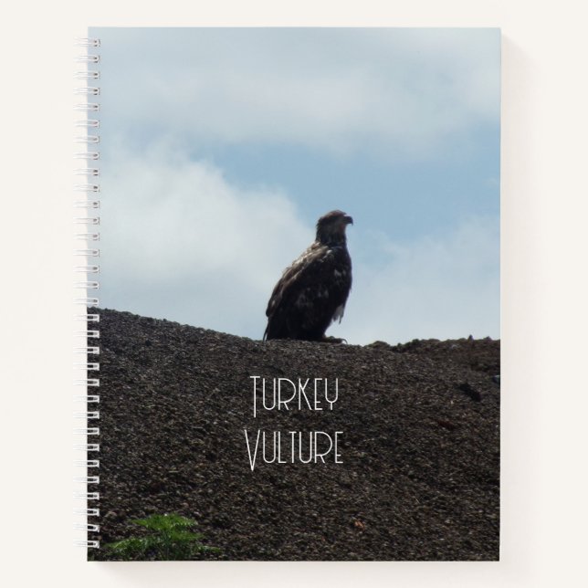 Turkey Vulture Spiral Notebook (Front)