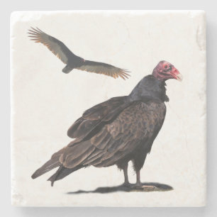TURKEY VULTURES STONE COASTER