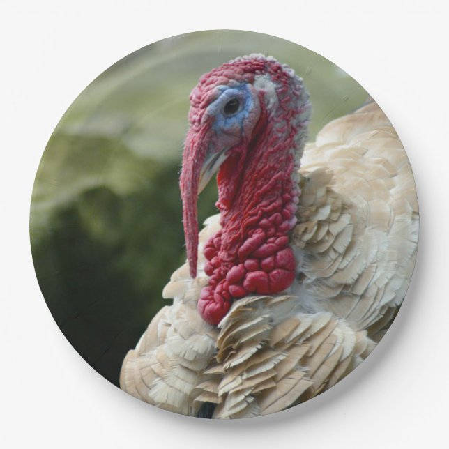 Turkey White Head Profile Photo Paper Plate (Front)
