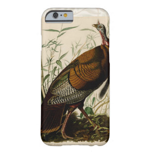 Turkey Wild Audubon Bird Painting Barely There iPhone 6 Case