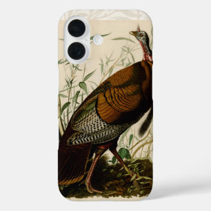 Turkey Wild Audubon Bird Painting iPhone 16 Case