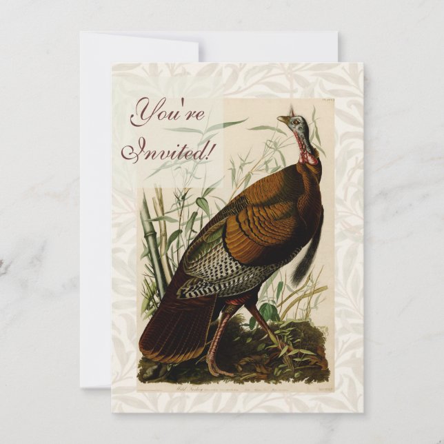 Turkey Wild Audubon Bird Painting Invitation (Front)