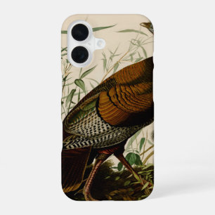 Turkey Wild Audubon Bird Painting iPhone 16 Case