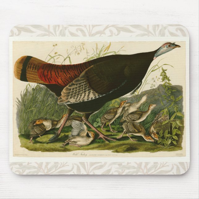 Turkey Wild Audubon Bird Painting Mouse Pad (Front)