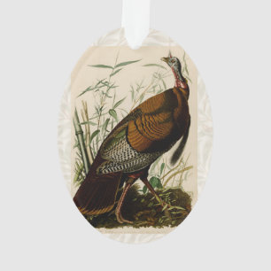 Turkey Wild Audubon Bird Painting Ornament