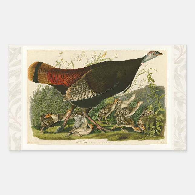 Turkey Wild Audubon Bird Painting Rectangular Sticker (Front)