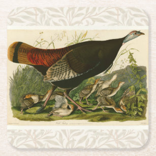 Turkey Wild Audubon Bird Painting Square Paper Coaster